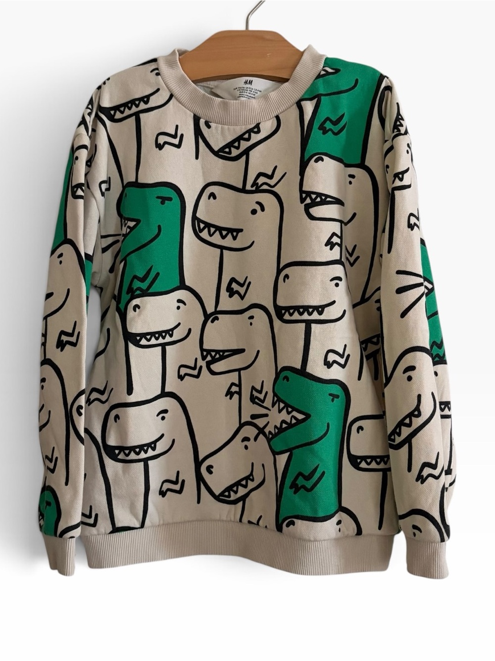 H&M Kids Green & Cream Dinosaur Graphic Sweater